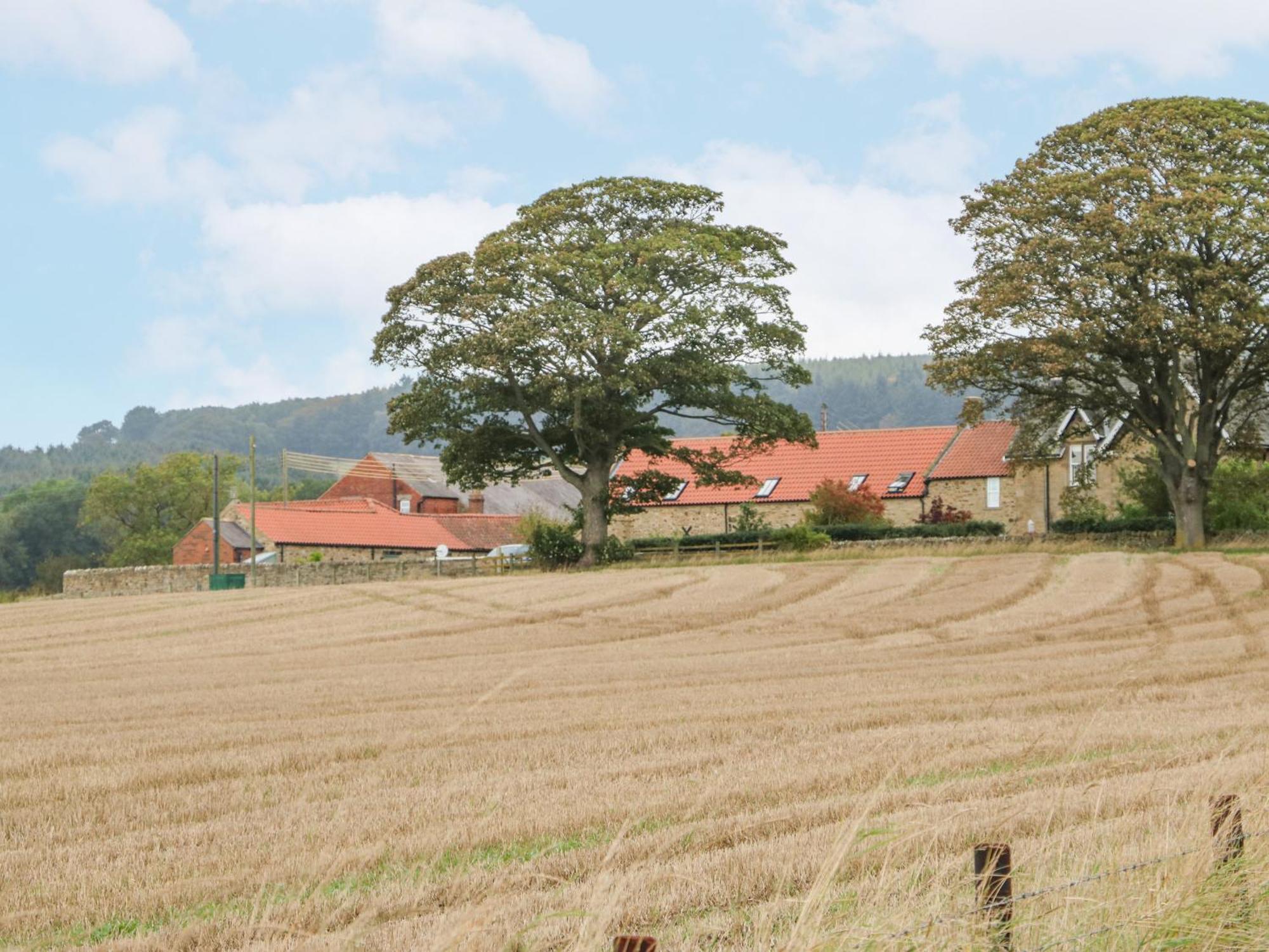 Sheep Pen Cottage Durham Exterior photo